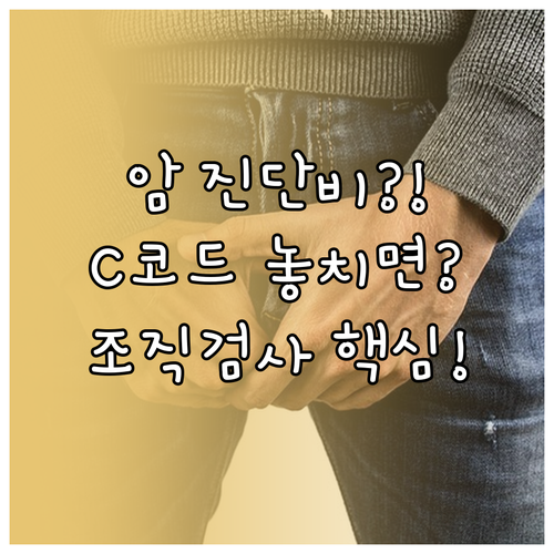 삼성생명 암보험 진단비 청구 필수 서..
