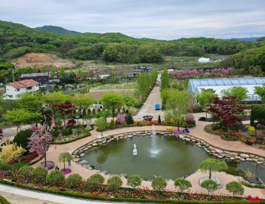 용인-베툴라