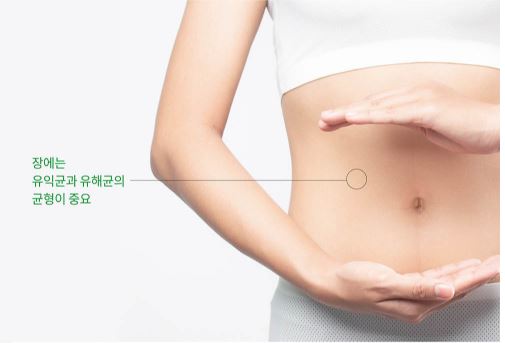 BNR17-유산균-효능