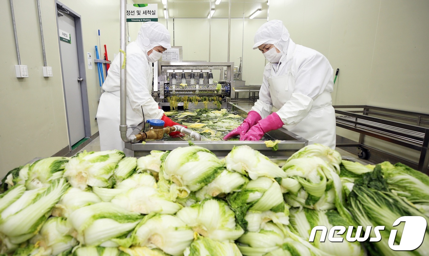 괴산 절임배추