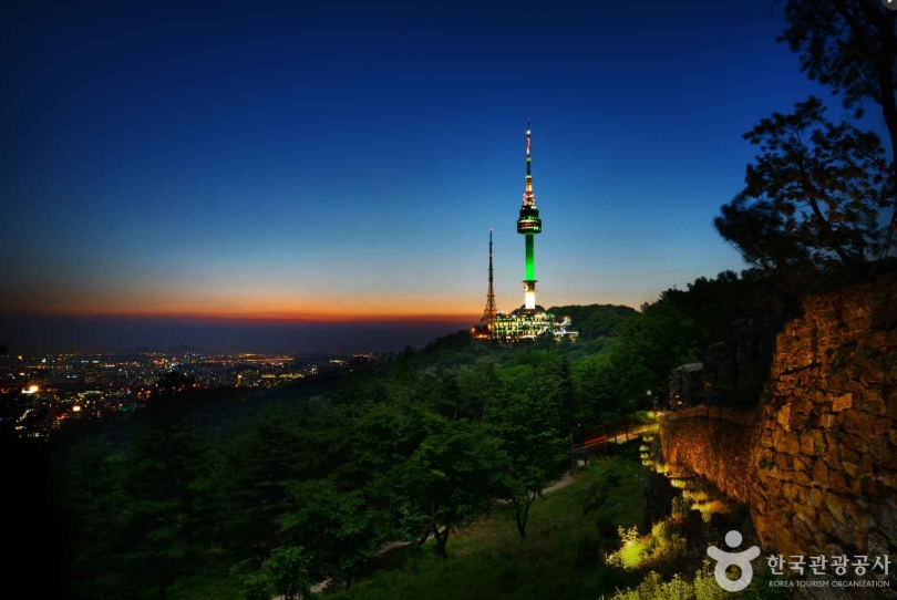 n서울 타워 야경의 모습