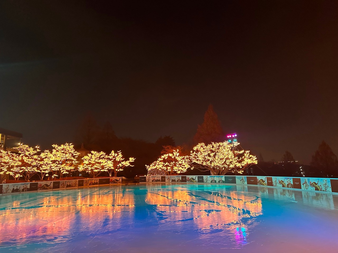 하얏트-아이스링크장