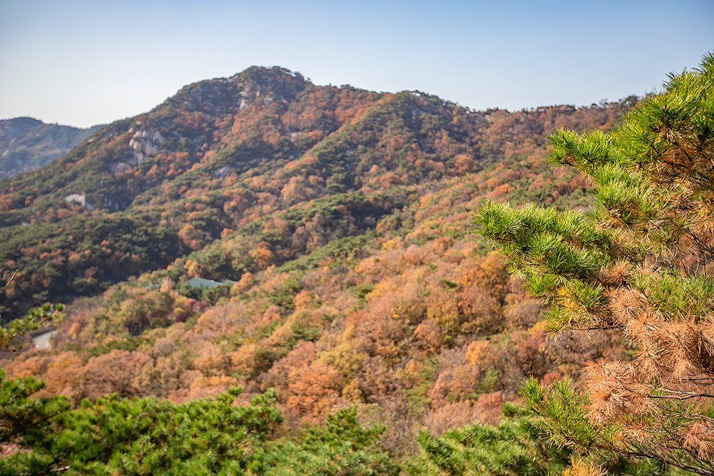 한양도성길
가을풍경
가을단풍
백악구간
서울여행
서울풍경
서울성곽길
청운대
말바위
숙정문