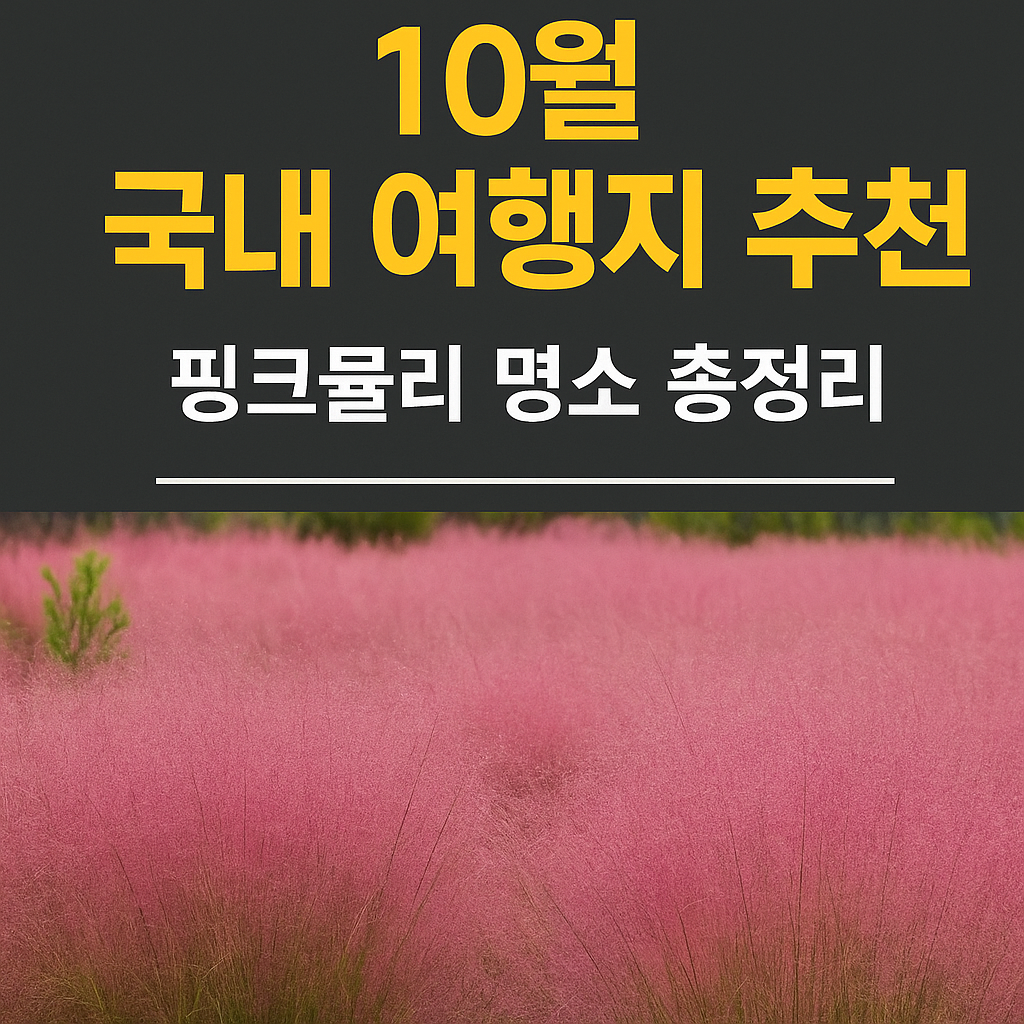 10월 핑크뮬리 국내 여행지 추천 명소 총정리해드립니다