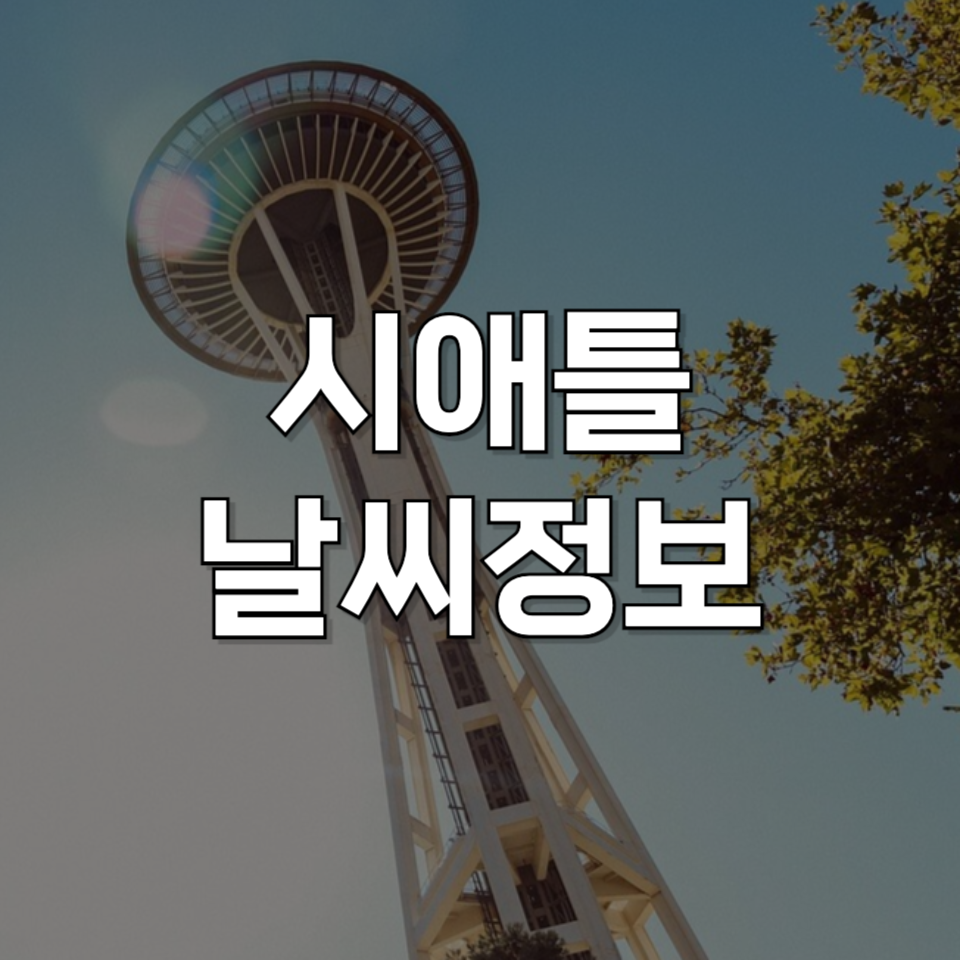 시애틀 날씨 완벽 가이드: 시애틀 날씨 정보와 여행 준비물 체크리스트