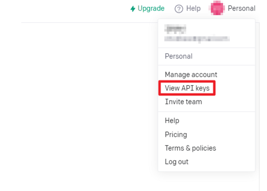 View API keys 클릭
