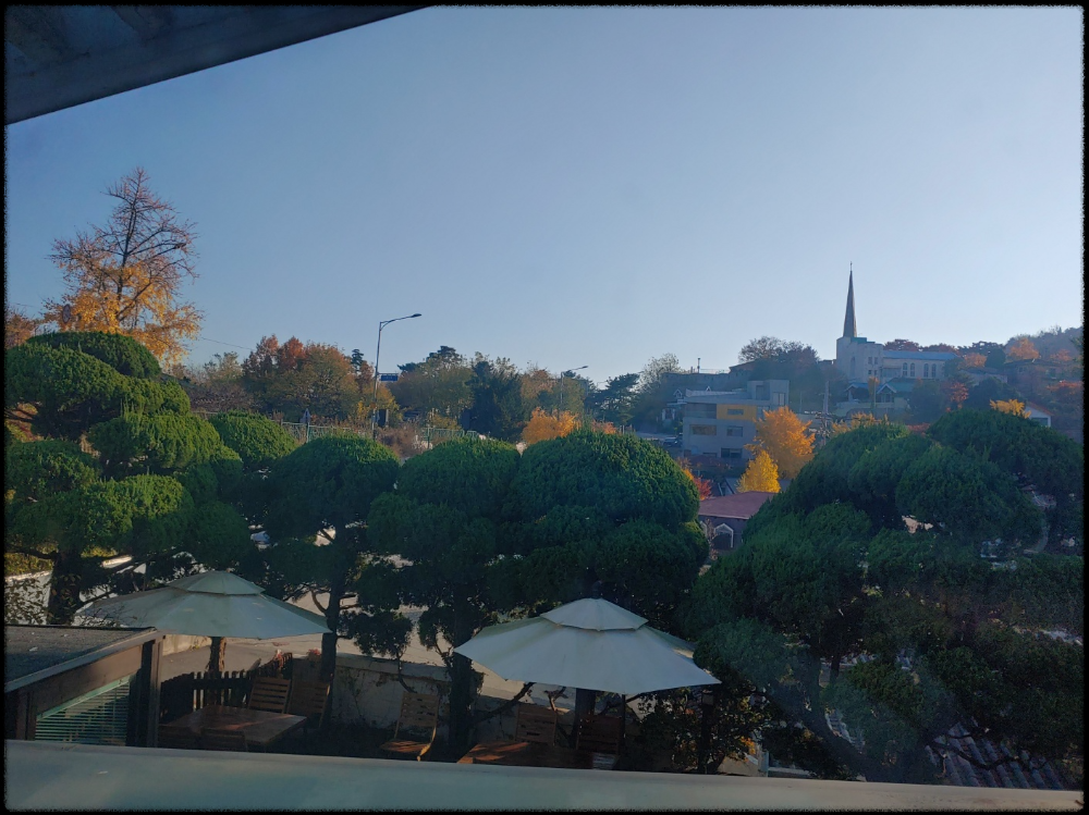 자하손만두-3층에서-바라본-아름다운-가을-풍광