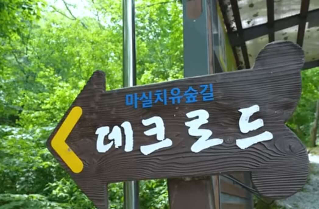 마실치유숲길