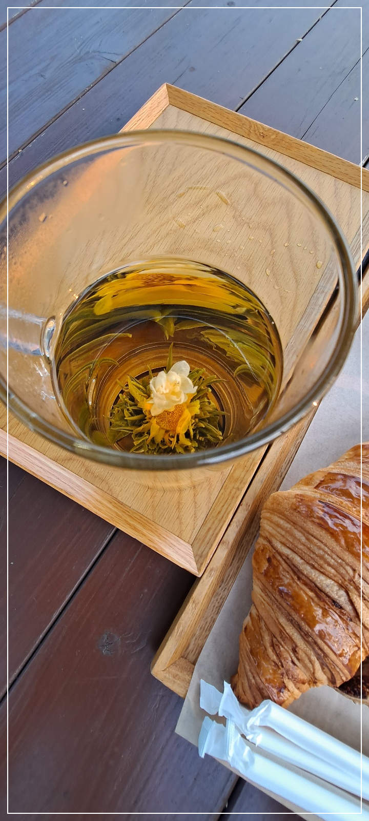 꽃피는-화차-국화-자스민