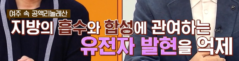 여주 효능