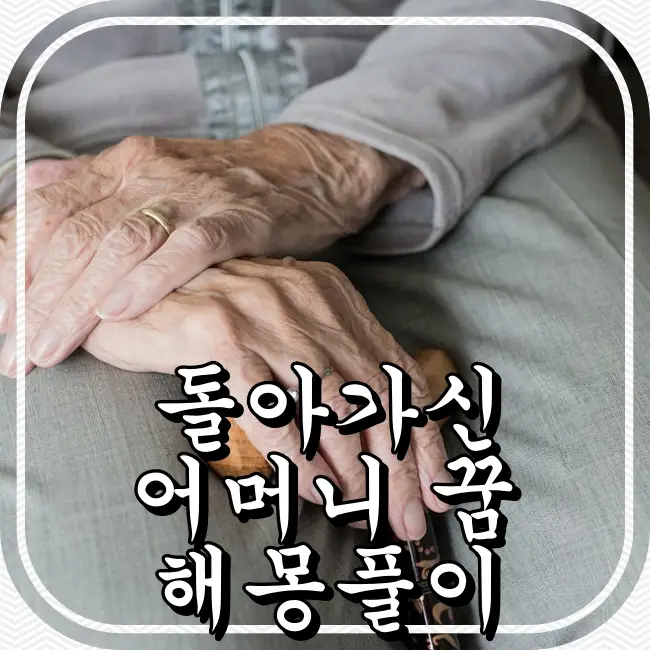 늙은-어머니의-손