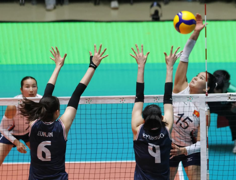 AVC컵 여자배구