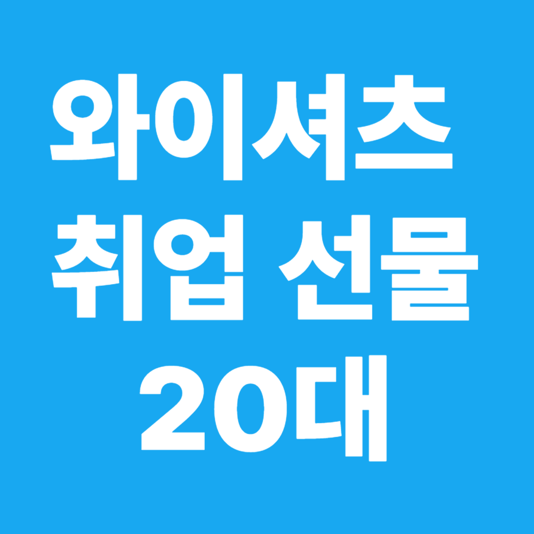 와이셔츠 취업선물 20대