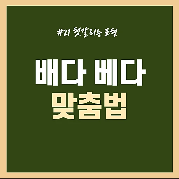 배다-베다-구분하기-올바른-맞춤법