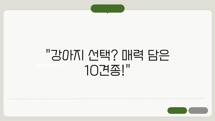 인기 강아지 종류와 특징 (10견종)
