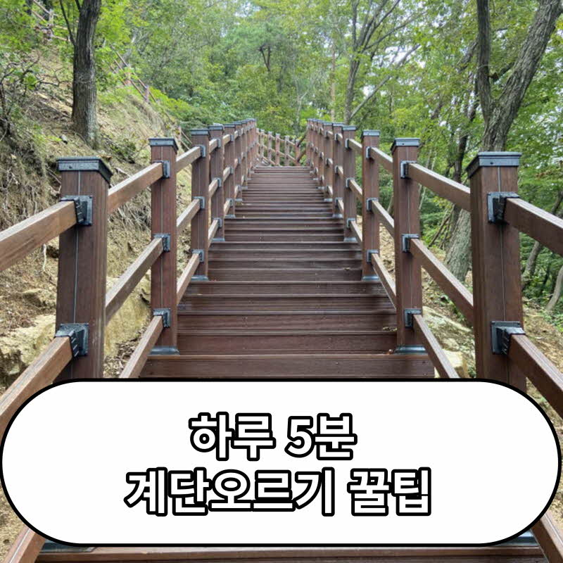 하루 5분 계단오르기 운동 시작하는 방법