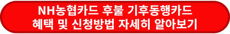 NH농협카드-후불-기후동행카드-혜택