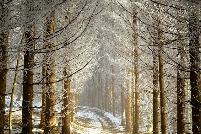 태풍 경로 실시간 예보 대비 요령 시니어 안전 가이드_3