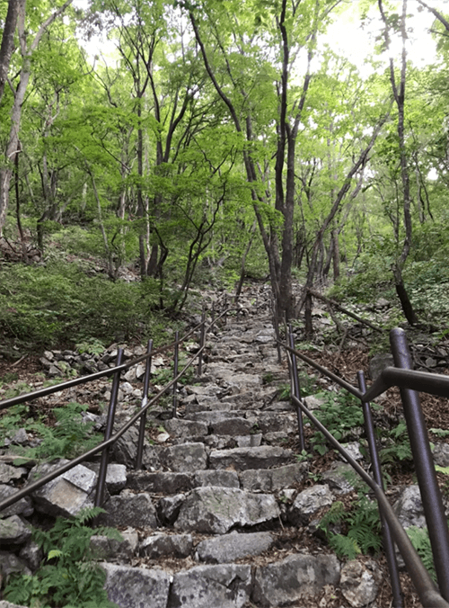 죽령05