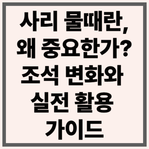 사리 물때란, 왜 중요한가? 조석 변화와 실전 활용 가이드