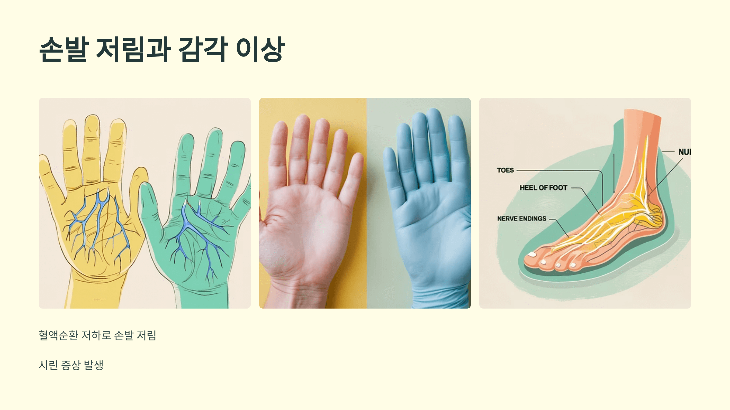 빈혈과 관련된 사진입니다.