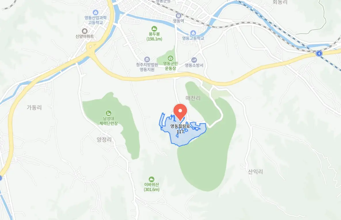 영동포도축제