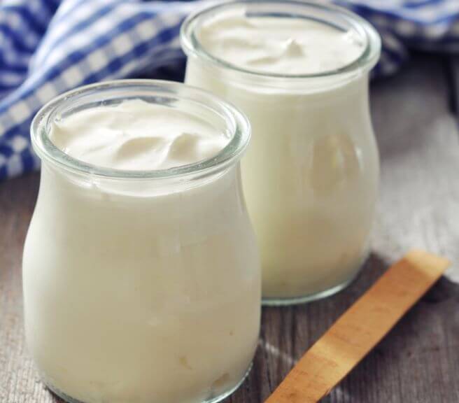 애시도필루스 유산균