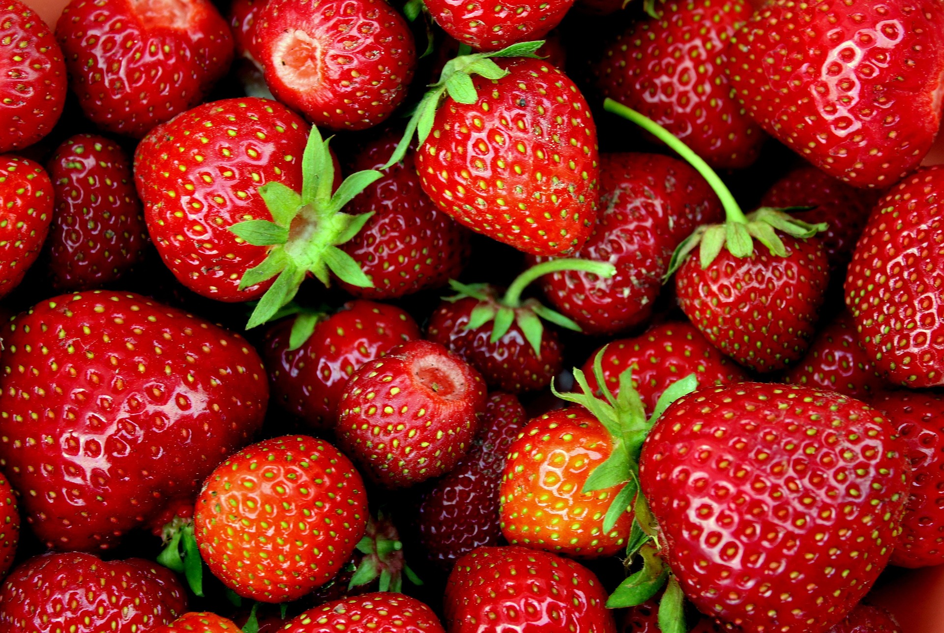 완주 삼례 딸기 대축제