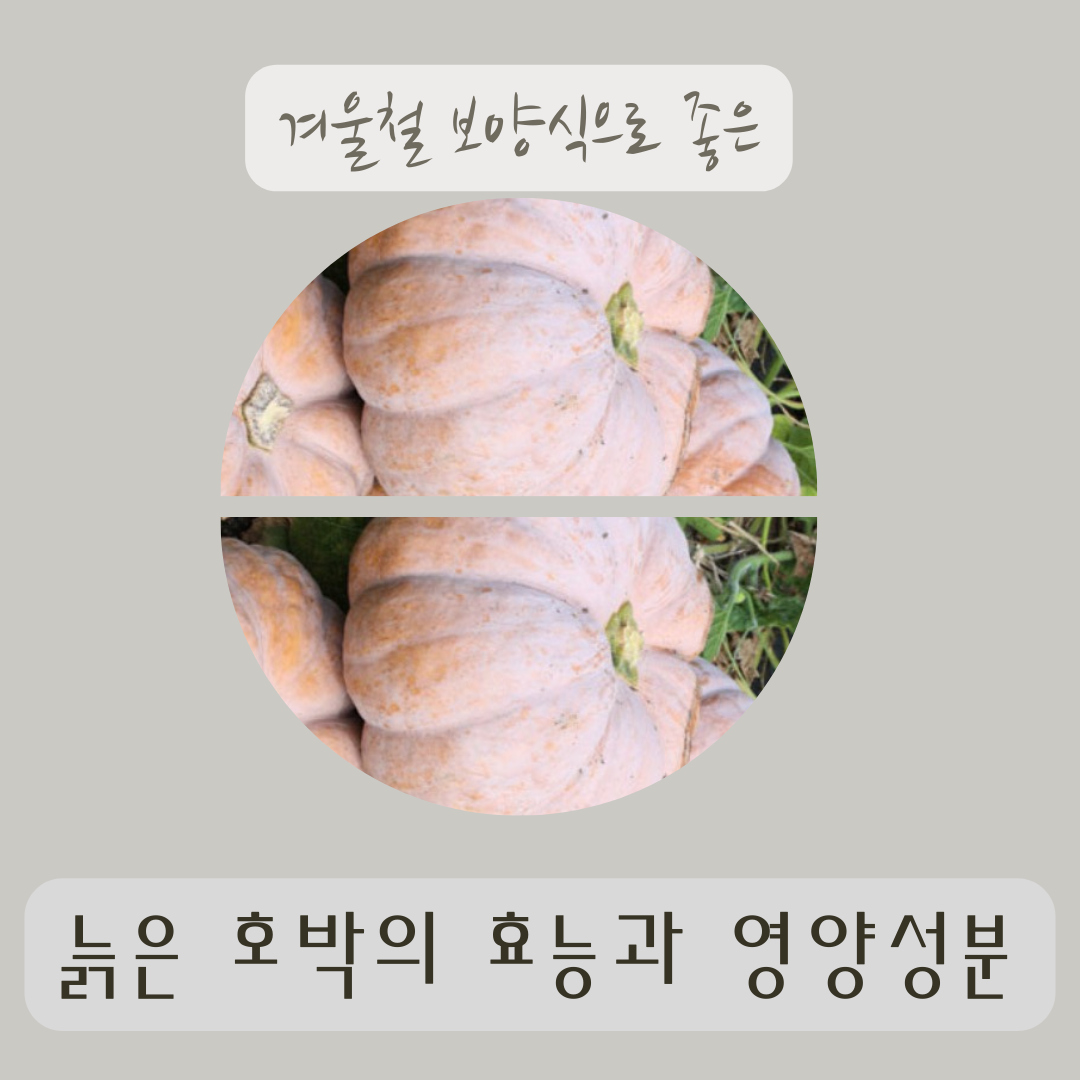 붓기와 혈관 건강에 좋은 늙은 호박의 다양한 효능과 영양성분 주의할 점 손질 및 보관방법