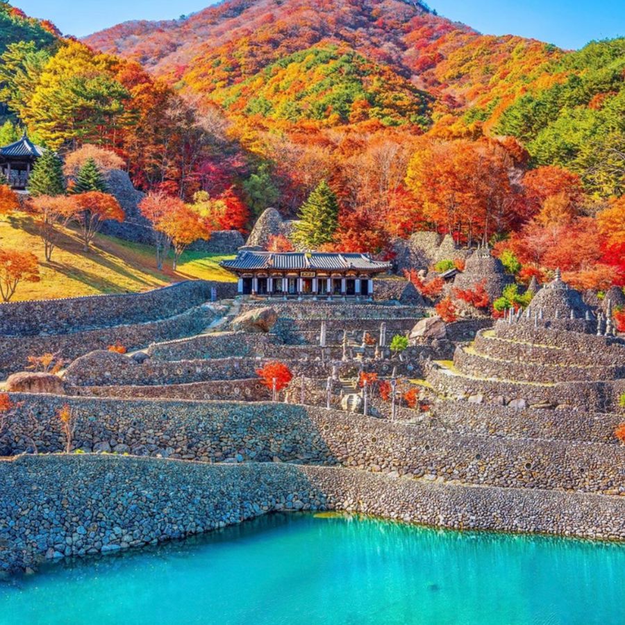 삼성궁