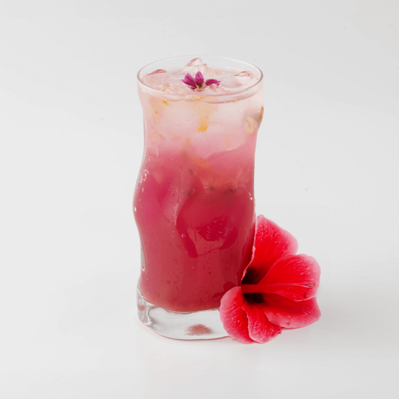 6시 내고향 충남 청양의 식용 꽃 카페 꽃이 머무는 자리 (꽃차, 꽃비빔밥, 꽃김밥 맛집)