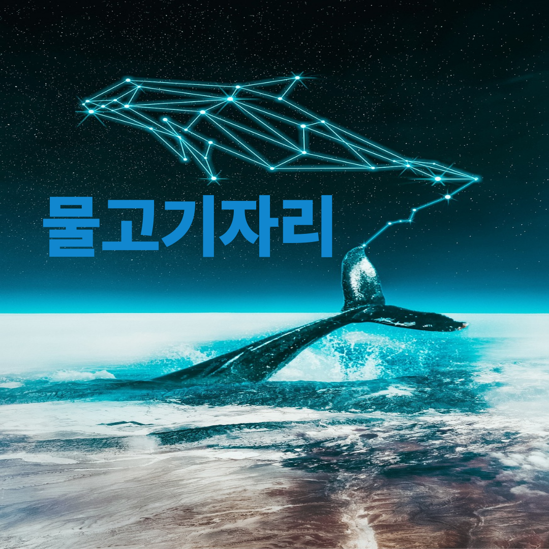 물고기자리