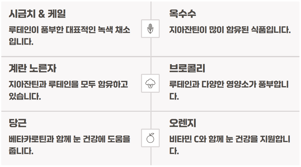루테인 지아잔틴 효능 부작용