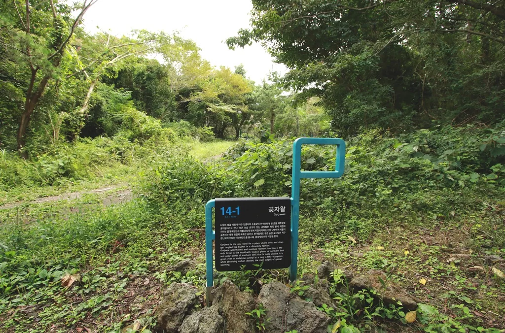 제주 올레길 14-1코스 곶자왈 입구 촬영사진.