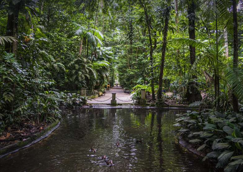 로드리게스 섬 사진