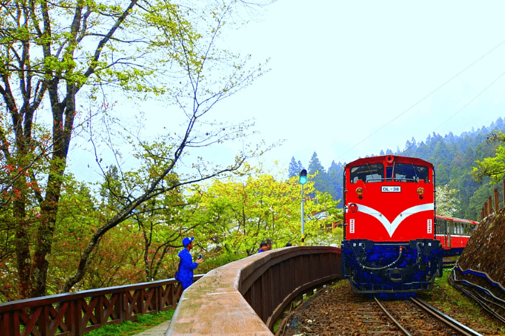 아리산 삼림철도