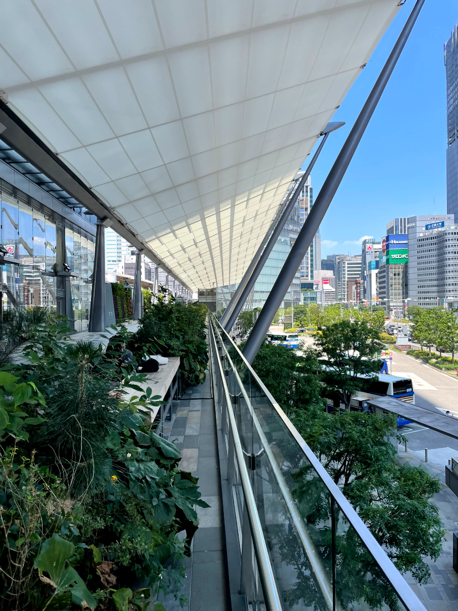 도쿄역 주변