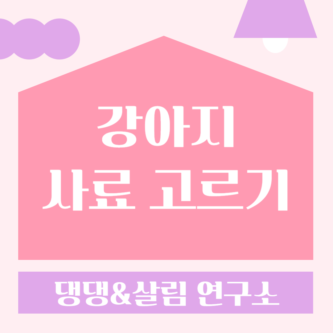 강아지사료선택