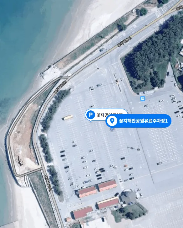 [당일치기 추천] 태안 가을꽃박람회 코리아플라워파크 행사정보 및 주차장 안내