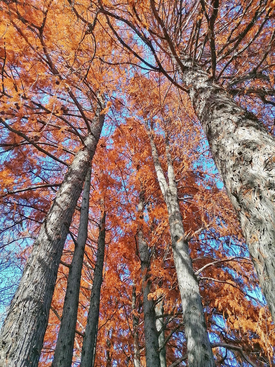 등산