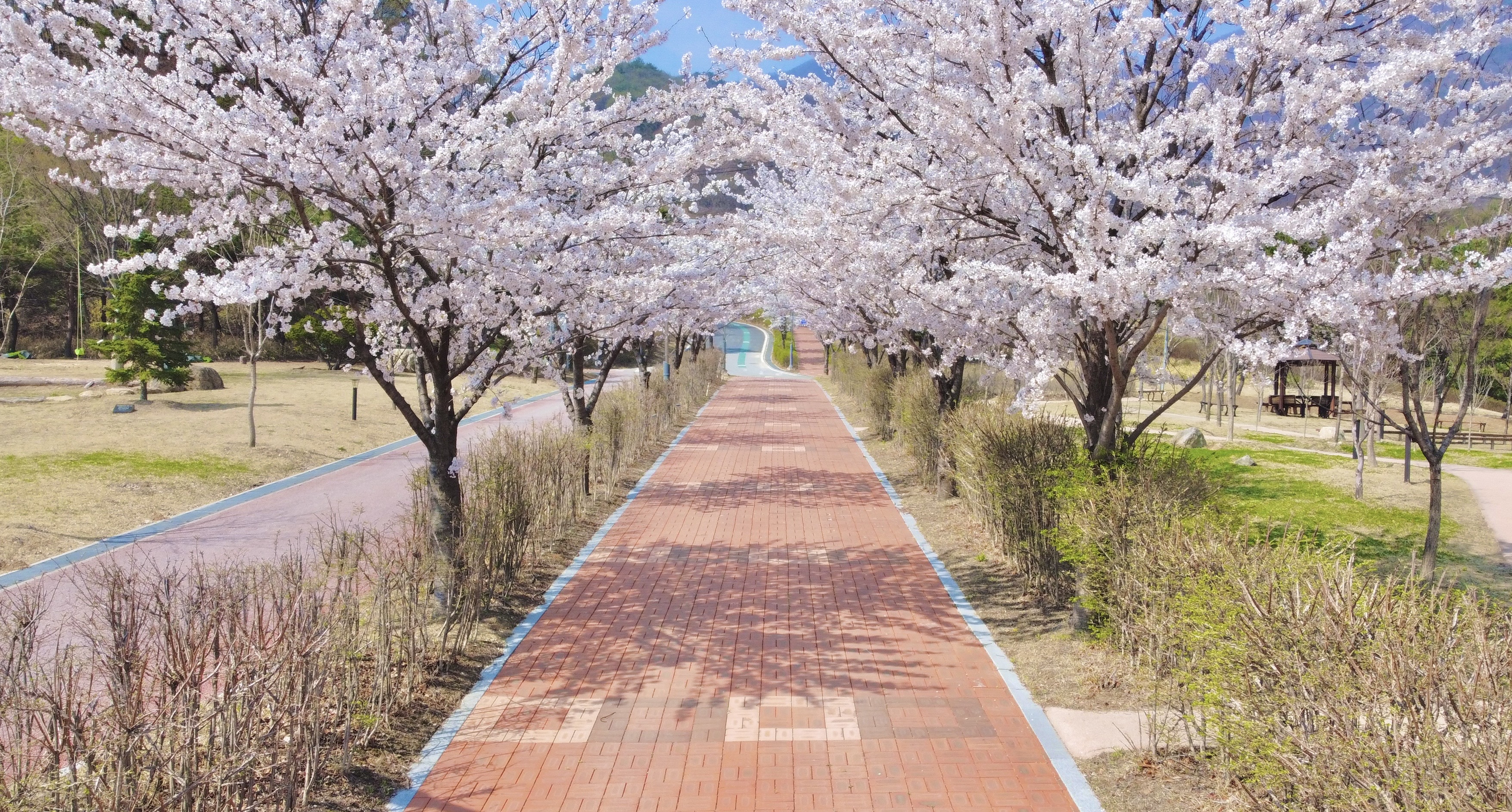 숲체원