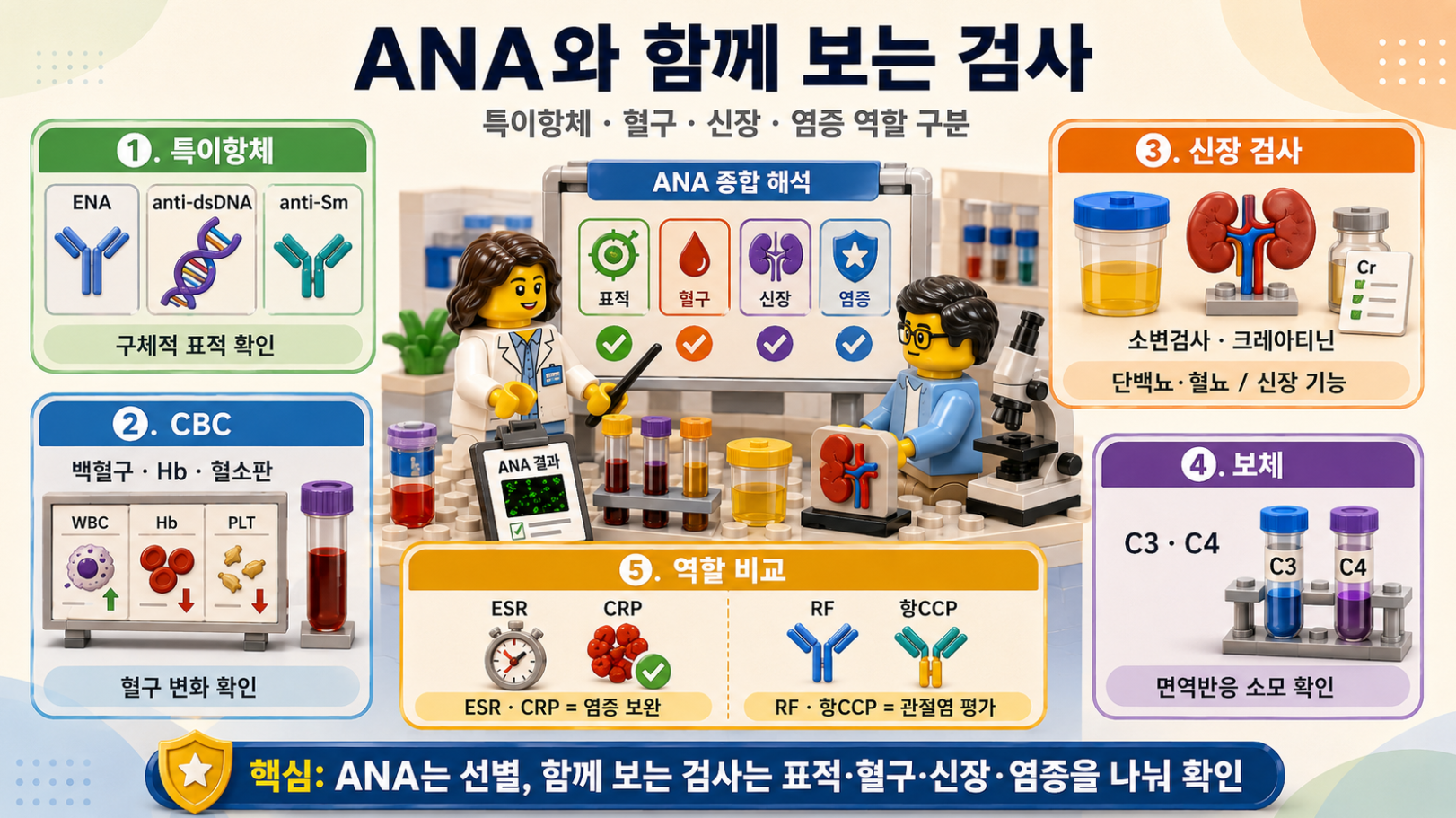 ANA와 함께 보는 검사: ENA·anti-dsDNA·CBC·소변검사·보체·ESR·CRP의 역할을 비교한 레고 스타일 인포그래픽