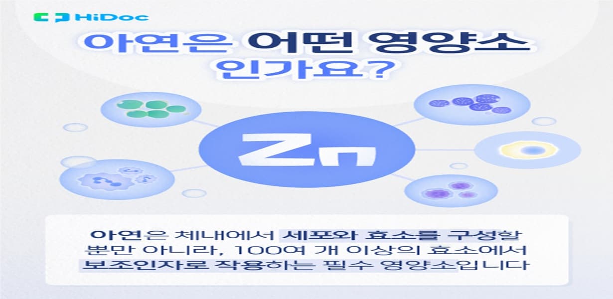 아연 섭취 시 주의해야 할 복용량, 시간대, 흡수 방해 요인을 설명한 카드형 건강 정보 이미지
