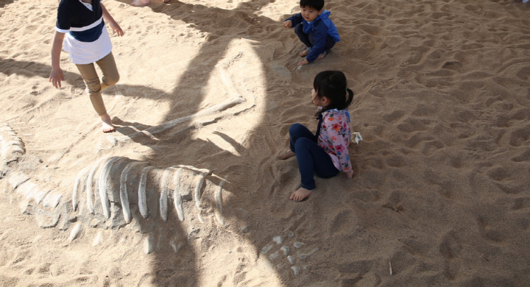 해남 공룡박물관