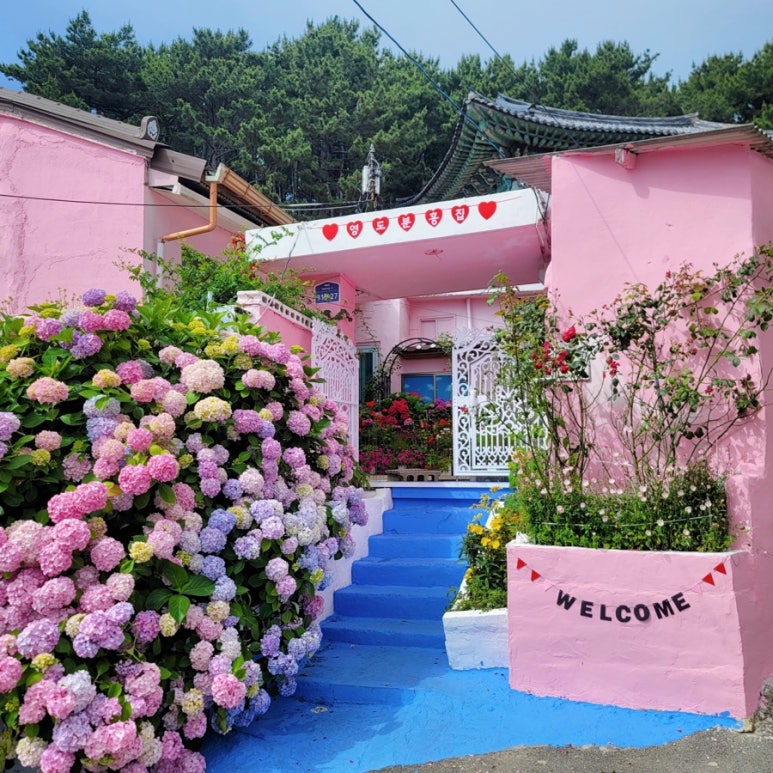 부산 영도 분홍집