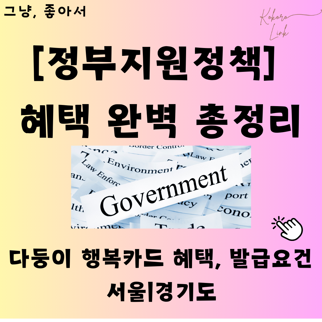 정부지원혜택 다둥이 행복카드