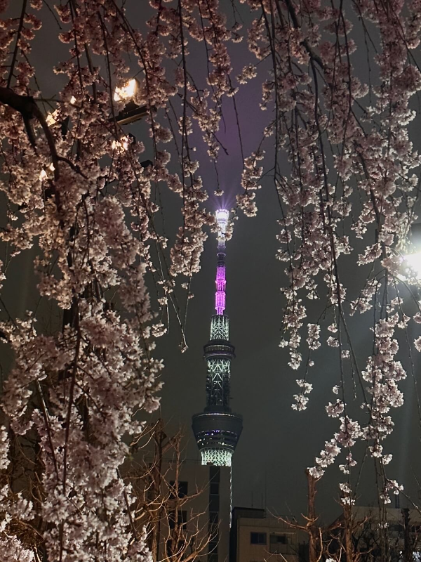 도쿄-아사쿠사-센소지-스카이트리-야경