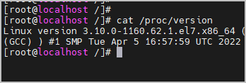 /proc/version