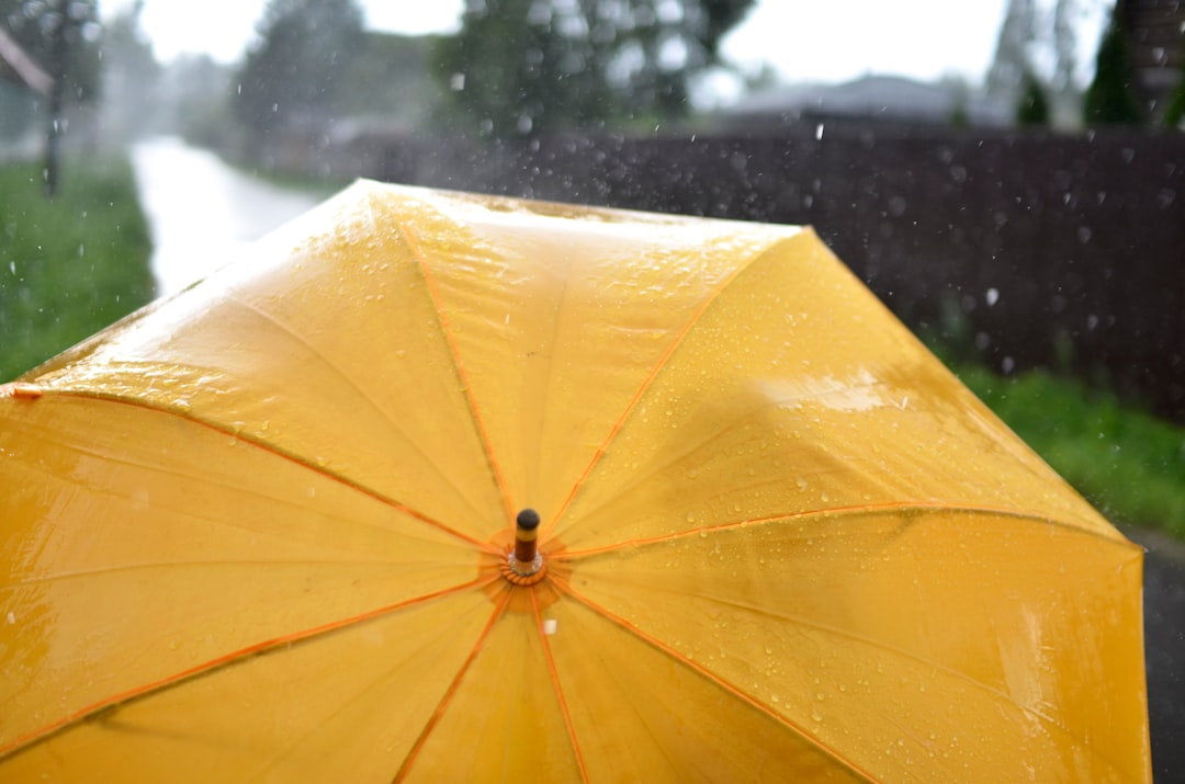 Yellow Umbrella
