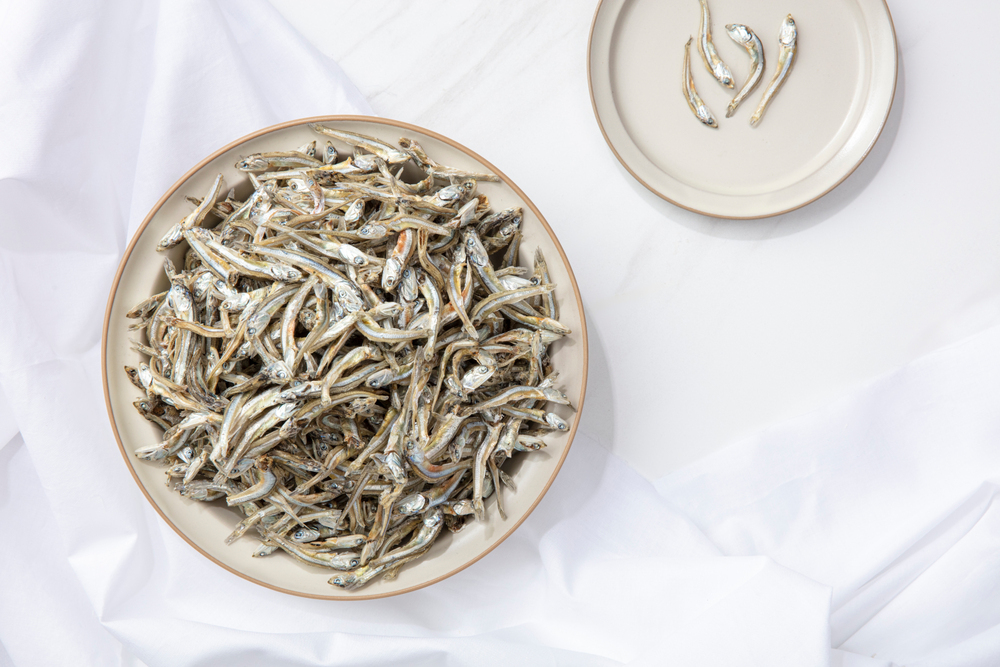 단백질 많은 음식 8가지